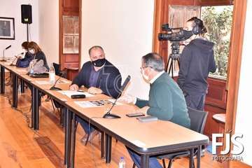 Pleno ordinario de diciembre de 2020/Francisco Javier Santana.